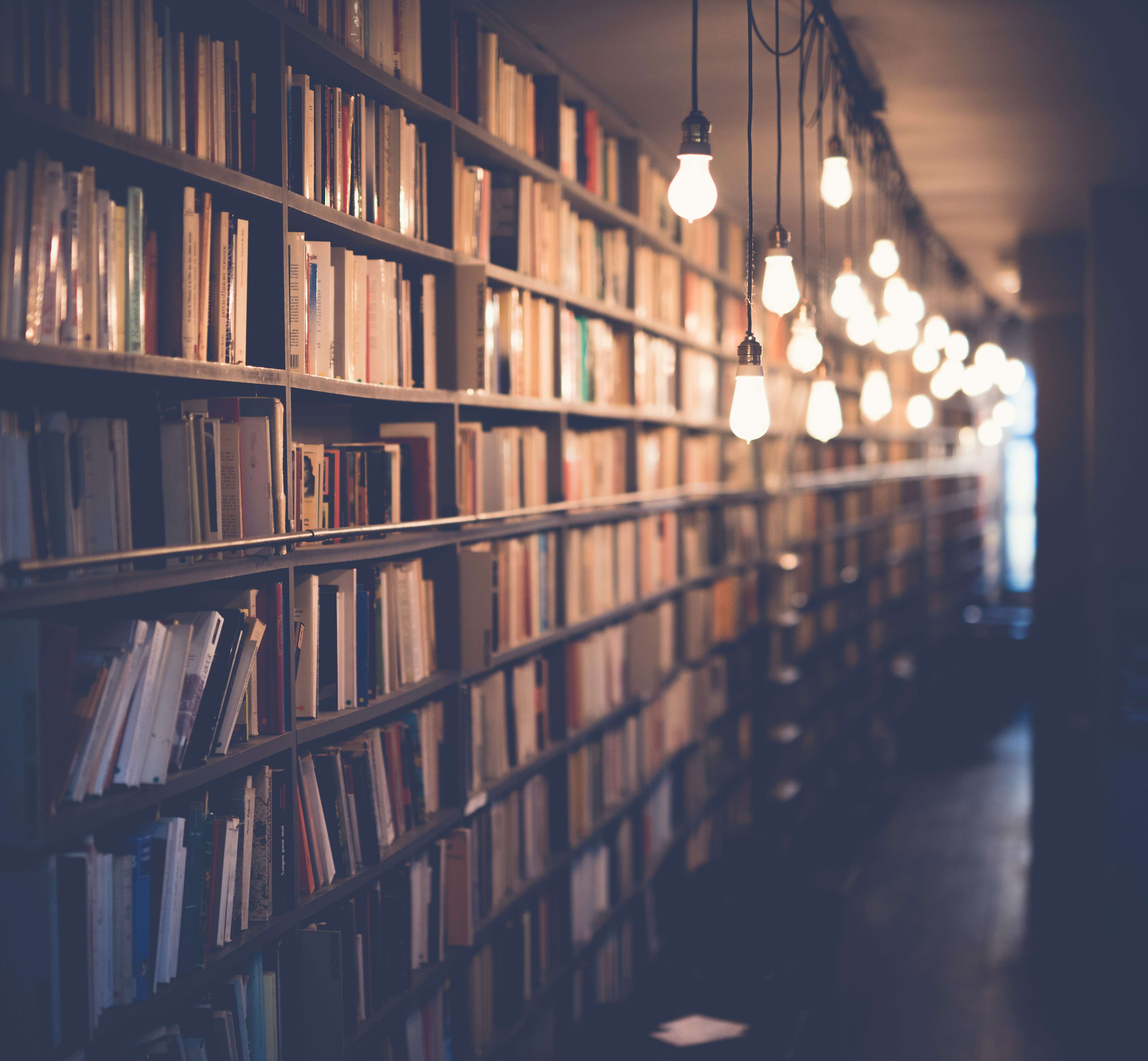 DotBody module library